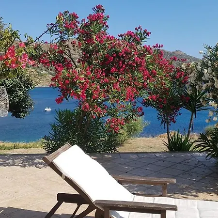 Apartman S1-aphrodite Goddess *